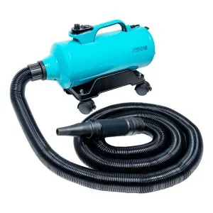 Air Force 2 Dryer